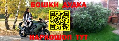 mix Будённовск