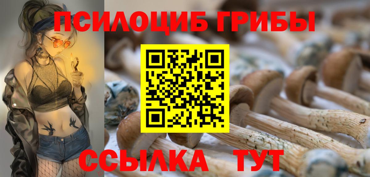 Галлюциногенные грибы Psilocybe  хочу   Ливны  Вход с VPN  Псилоцибиновые грибы GOLDEN TEACHER 